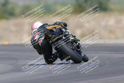 media/Oct-01-2023-SoCal Trackdays (Sun) [[4c570cc352]]/Turn 14 Backside (1120am)/